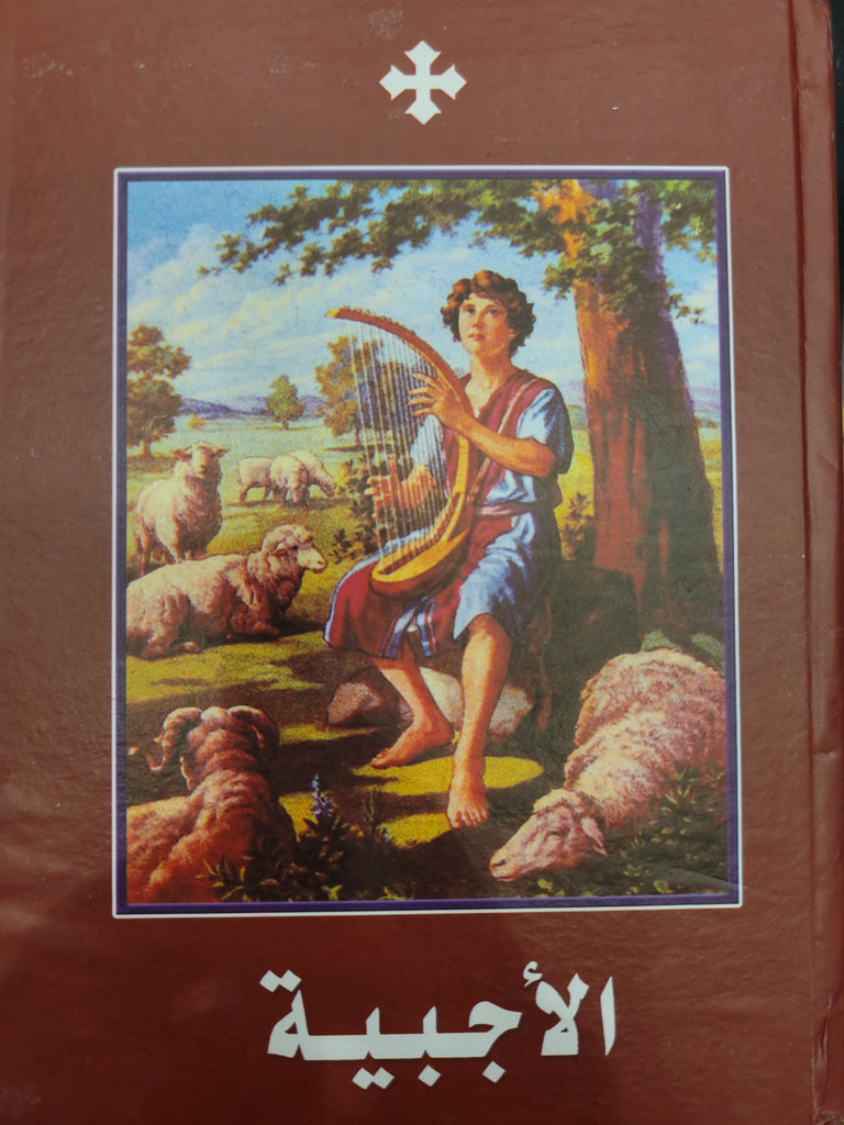 (13x17)cm    الاجبية